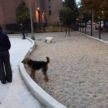 Skinner Bark Park photo 2